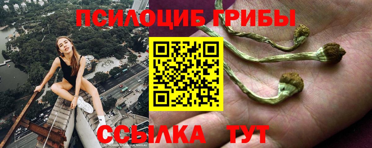 Печора  Галлюциногенные грибы ЛСД  Псилоцибиновые грибы GOLDEN TEACHER  Вход с VPN 